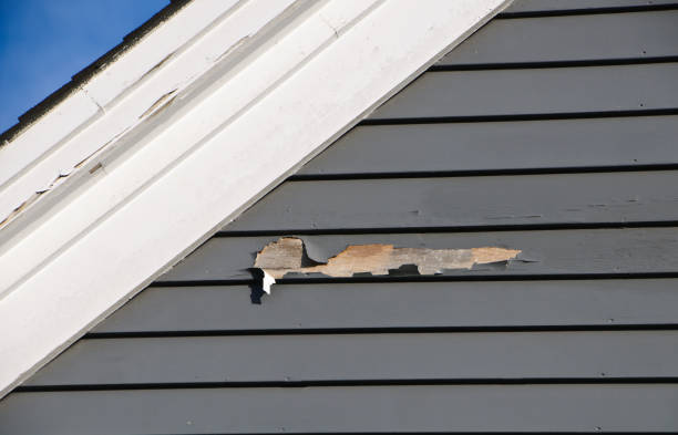  Vallejo, CA Siding Installation Pros