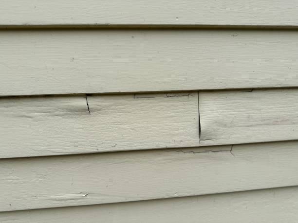 Siding for Commercial Buildings in Vallejo, CA